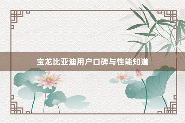 宝龙比亚迪用户口碑与性能知道